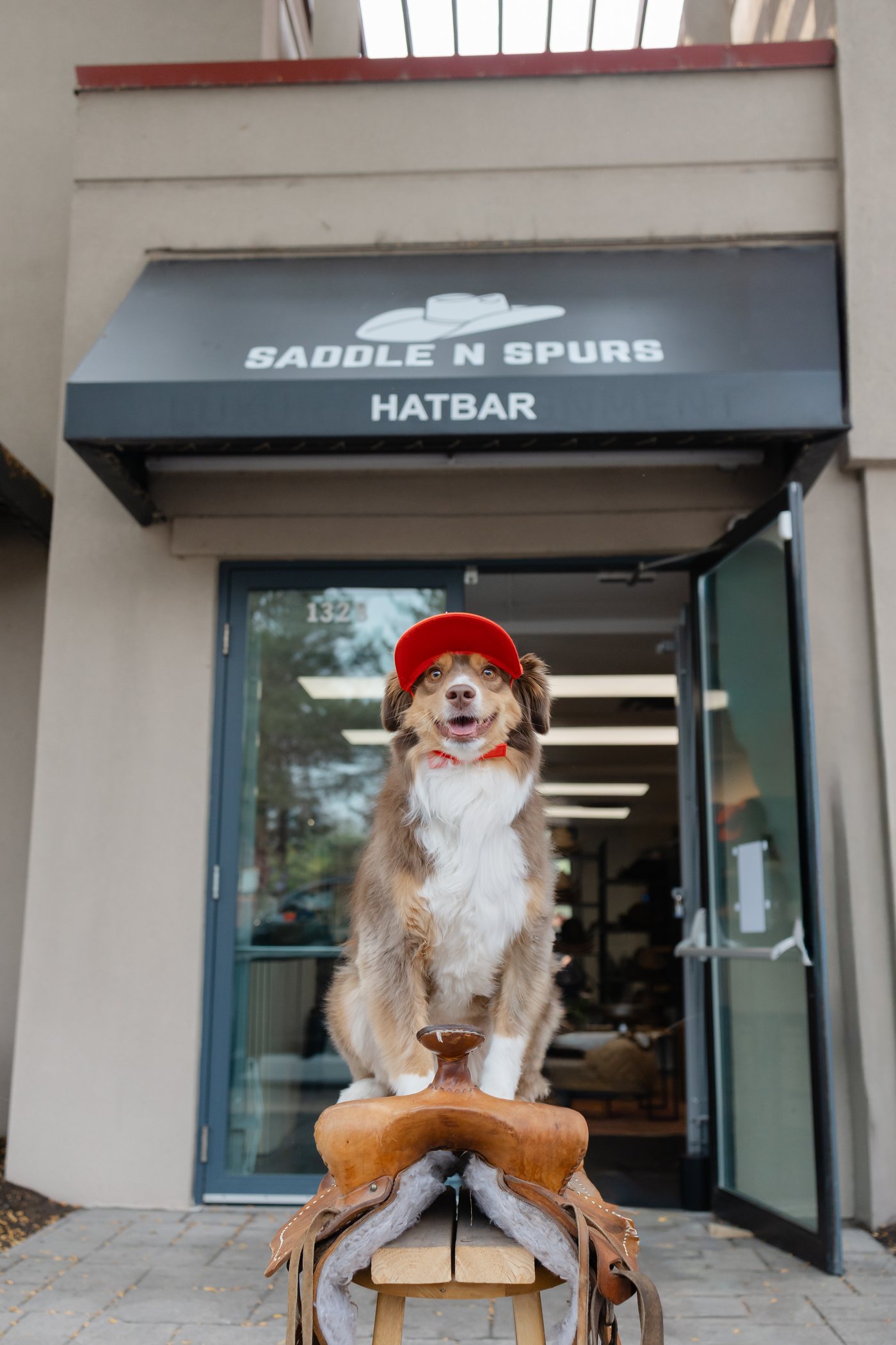The Saddle N Spurs Kelowna shop dog in a red cap at the storefront entrance