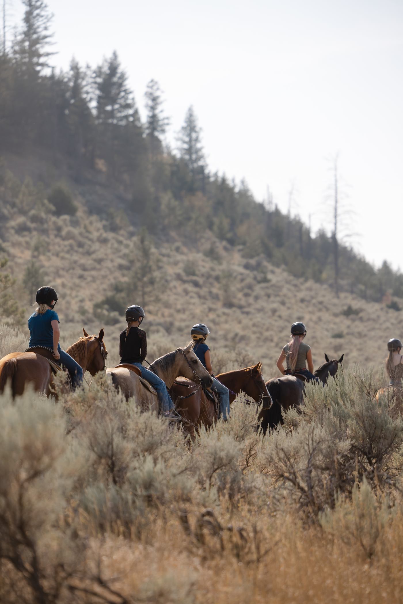 Riders on a scenic horseback trail ride through the hills at Erin Valley Riding Stables, Barnhartvale, Kamloops